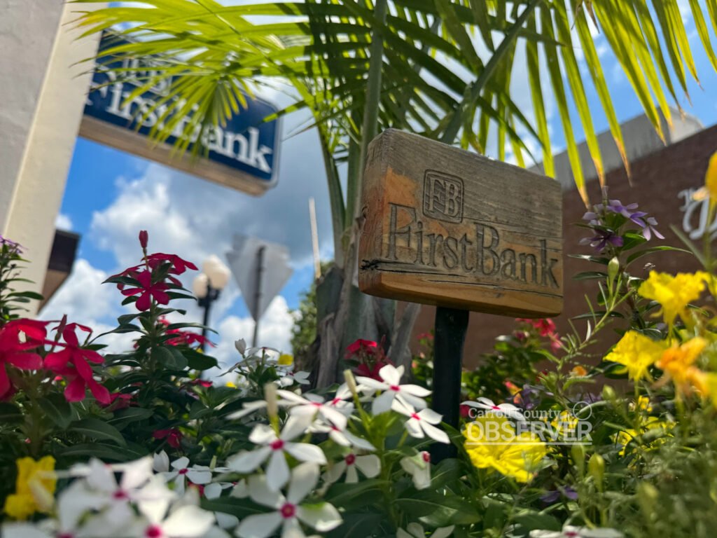Close-up of flowers in a planter sponsored by FirstBank, with the bank’s sign visible in the background on Court Square in Huntingdon, Tennessee. Photo by Jesse Joseph/Carroll County Observer