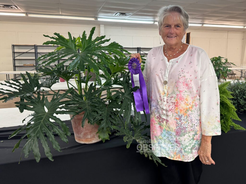 Linda Wallace of Huntingdon with her award-winning monstera plant, winner of the purple ribbon in the potted plants category at the Carroll County Fair.