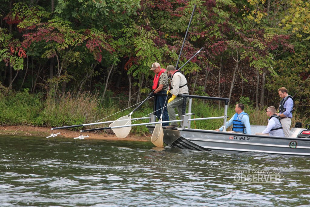 Governor Bill Lee participates in an electrofishing demonstration with TWRA biologists at Lake Halford, using equipment that stuns fish temporarily for research. Photo by Jesse Joseph/Carroll County Observer.