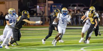 Mustangs stampede past Lewis County to advance to quarterfinals