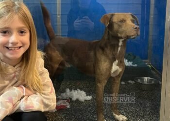 Eight-year-old Turns Christmas Wish into Big Donation for Humane Society
