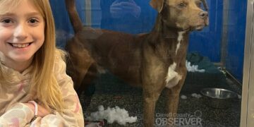 Eight-year-old Turns Christmas Wish into Big Donation for Humane Society