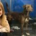 Eight-year-old Turns Christmas Wish into Big Donation for Humane Society