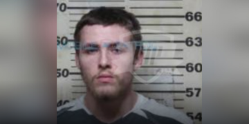 Man Arrested for Possession of Psychedelic Mushrooms