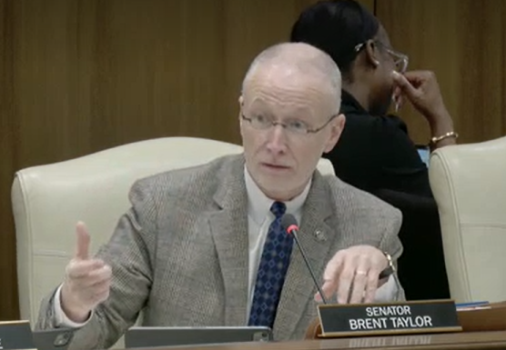 Sen. Brent Taylor gestures while speaking at a committee hearing.