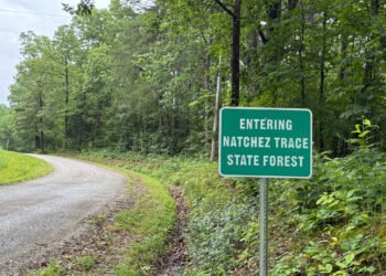 The Forgotten History of Carroll County’s Natchez Trace Forest
