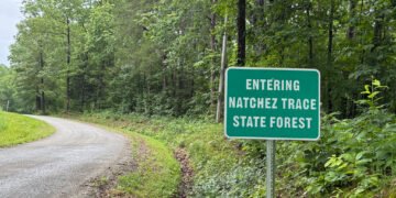 The Forgotten History of Carroll County’s Natchez Trace Forest